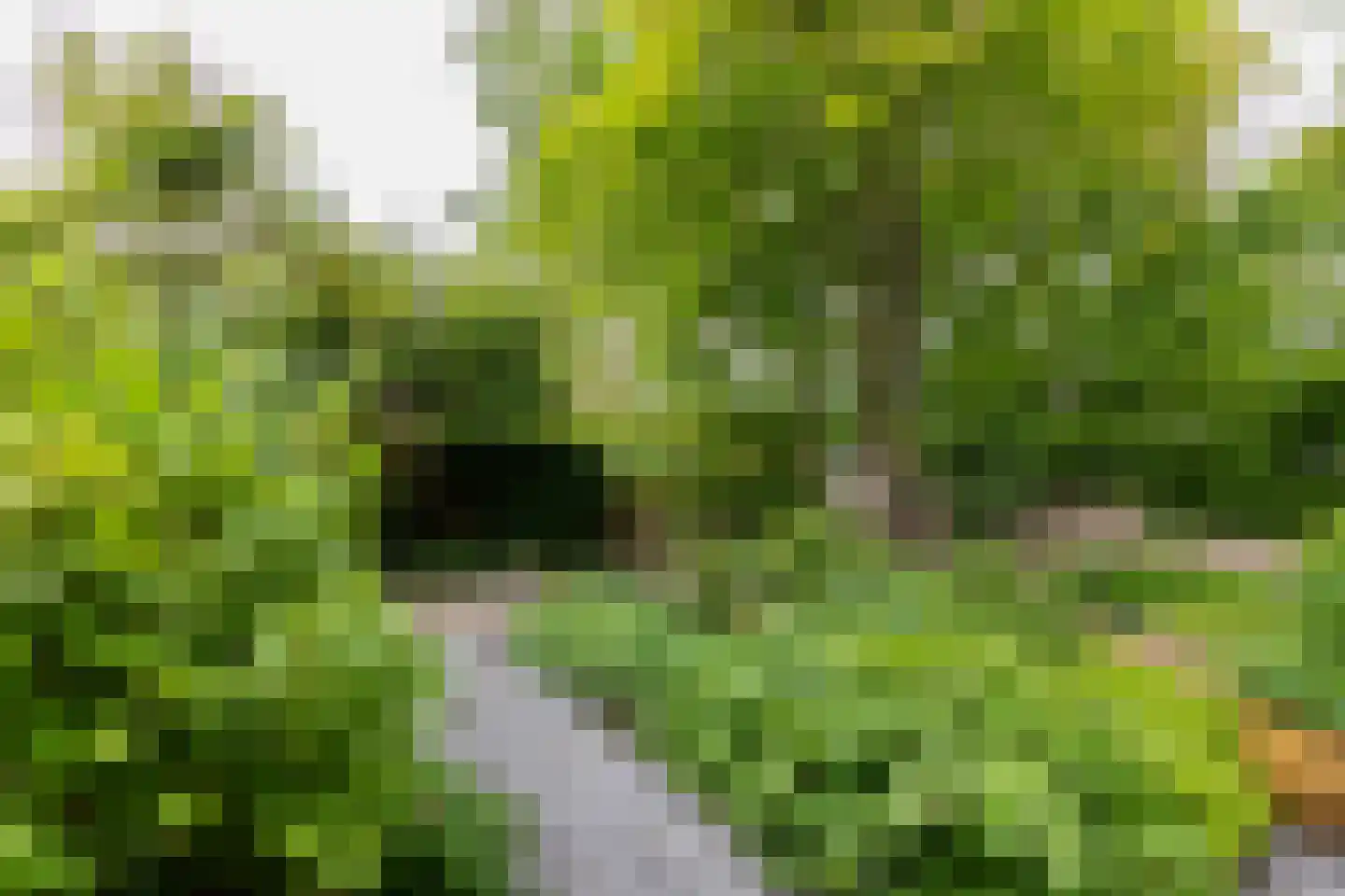Rensumaheerd 41 Groningen thumbnail 41