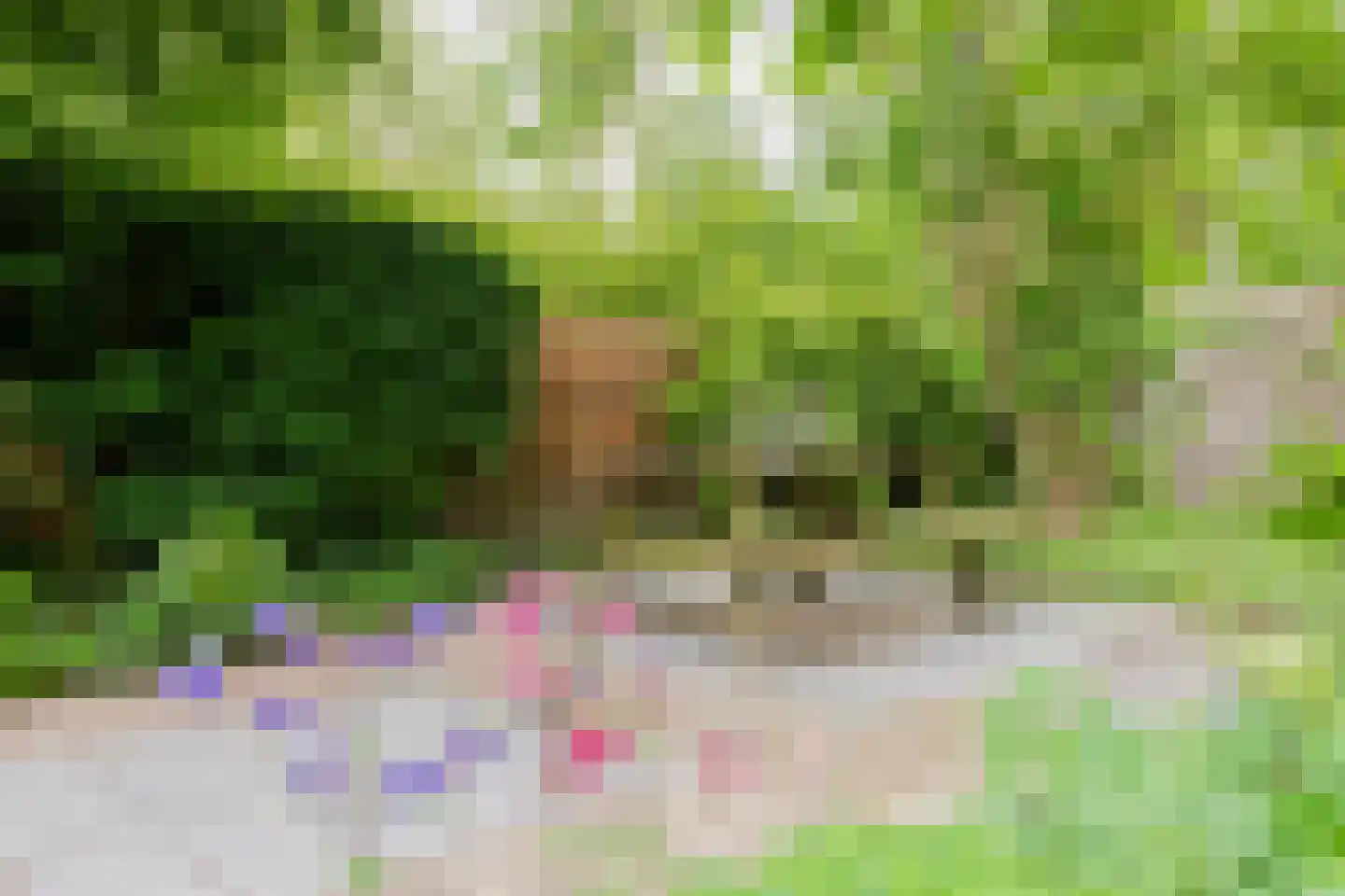 Rensumaheerd 41 Groningen thumbnail 42