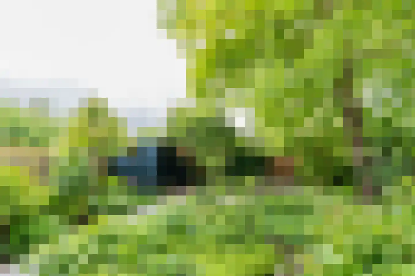 Rensumaheerd 41 Groningen thumbnail 43