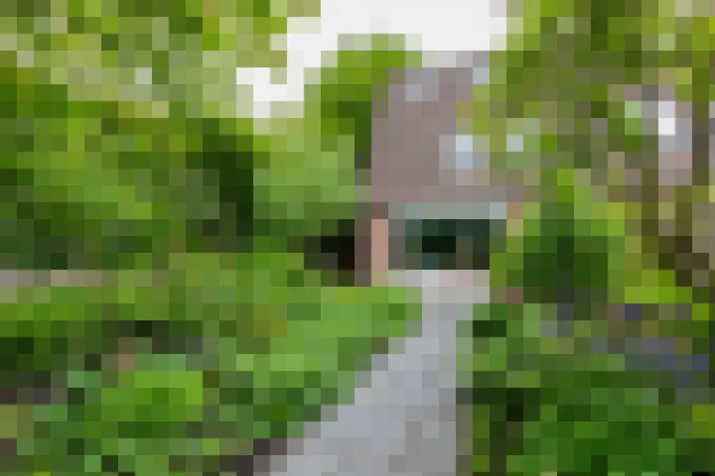 Rensumaheerd 41 Groningen thumbnail 44