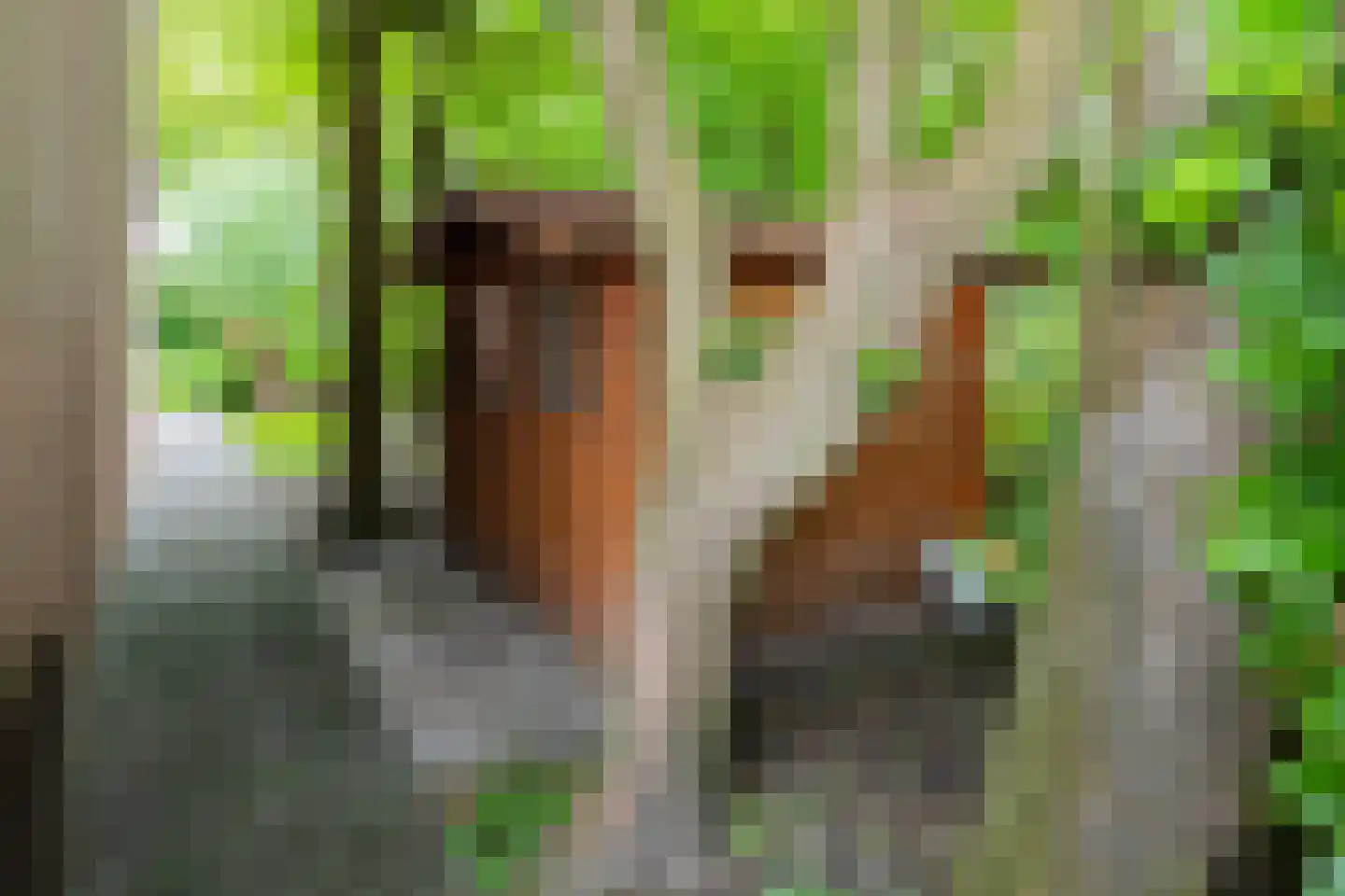 Rensumaheerd 41 Groningen thumbnail 45