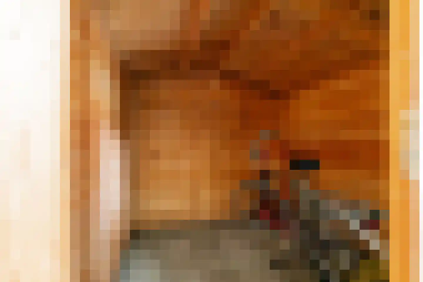 Rensumaheerd 41 Groningen thumbnail 46
