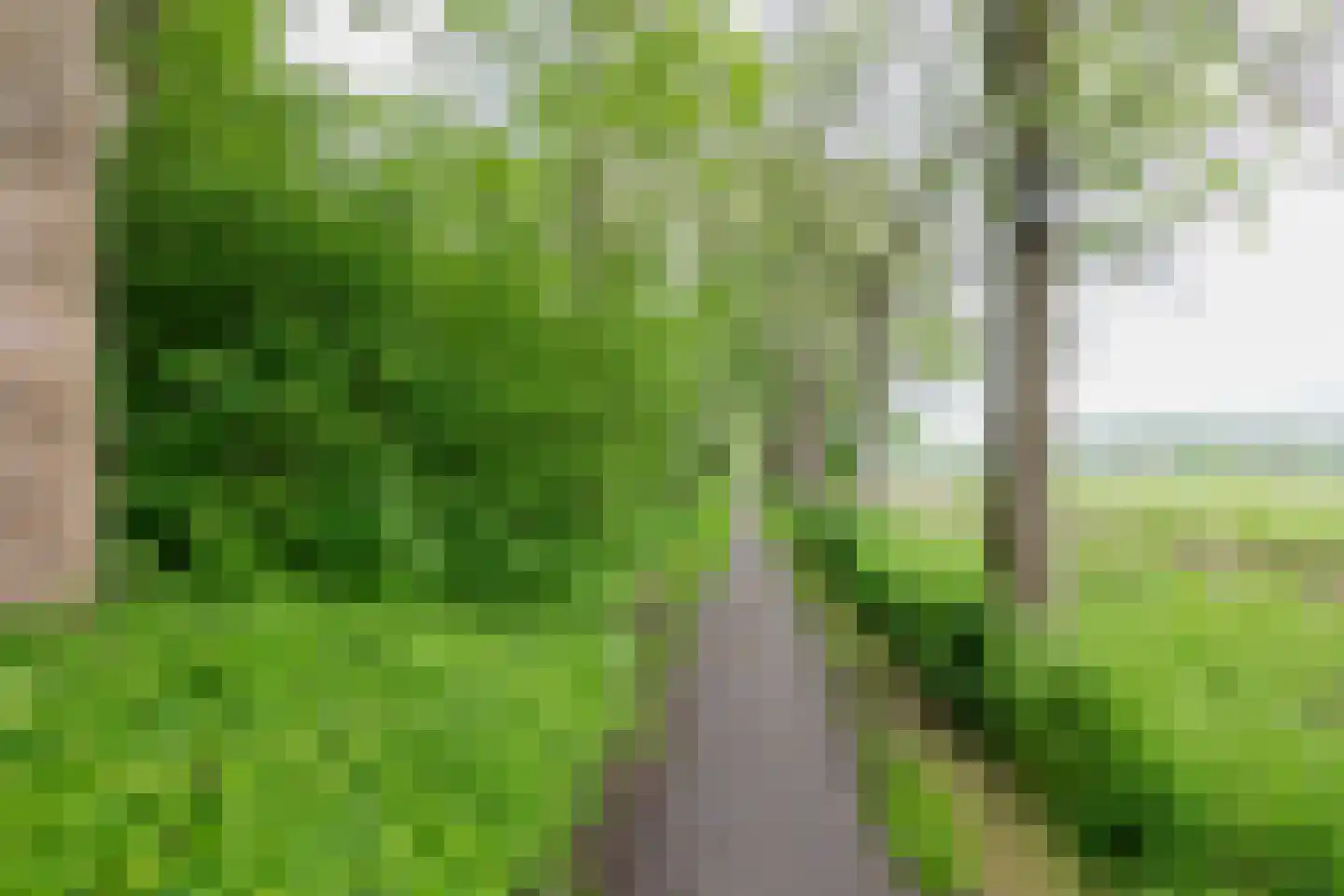Rensumaheerd 41 Groningen thumbnail 48