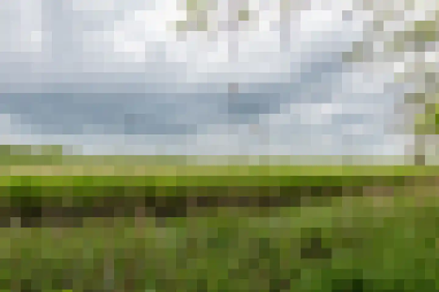 Rensumaheerd 41 Groningen thumbnail 49