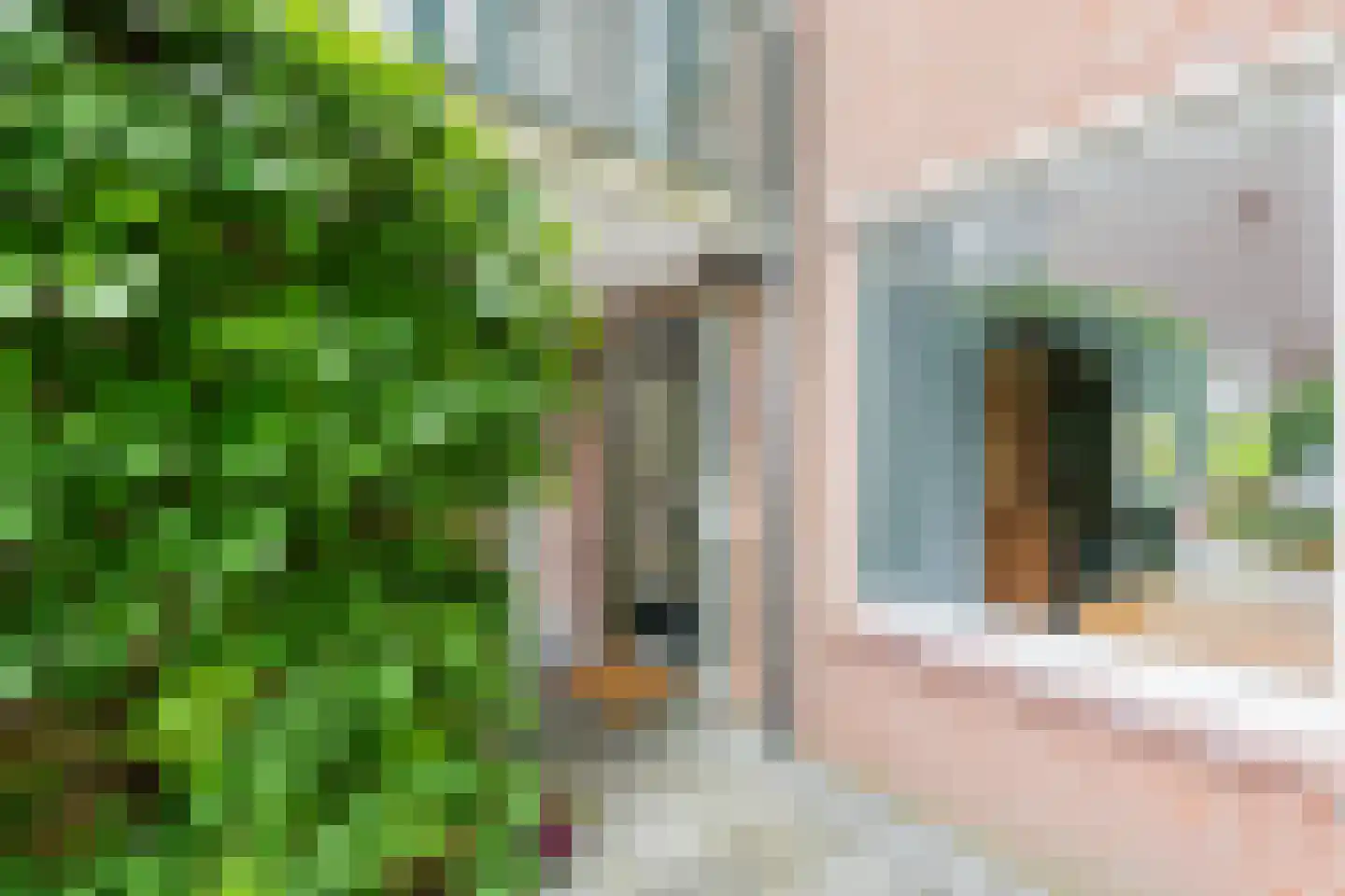 Rensumaheerd 41 Groningen thumbnail 6