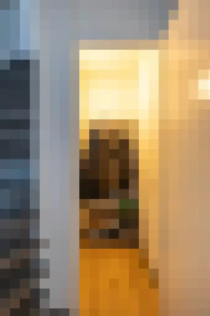 Rensumaheerd 45 e Groningen thumbnail 12