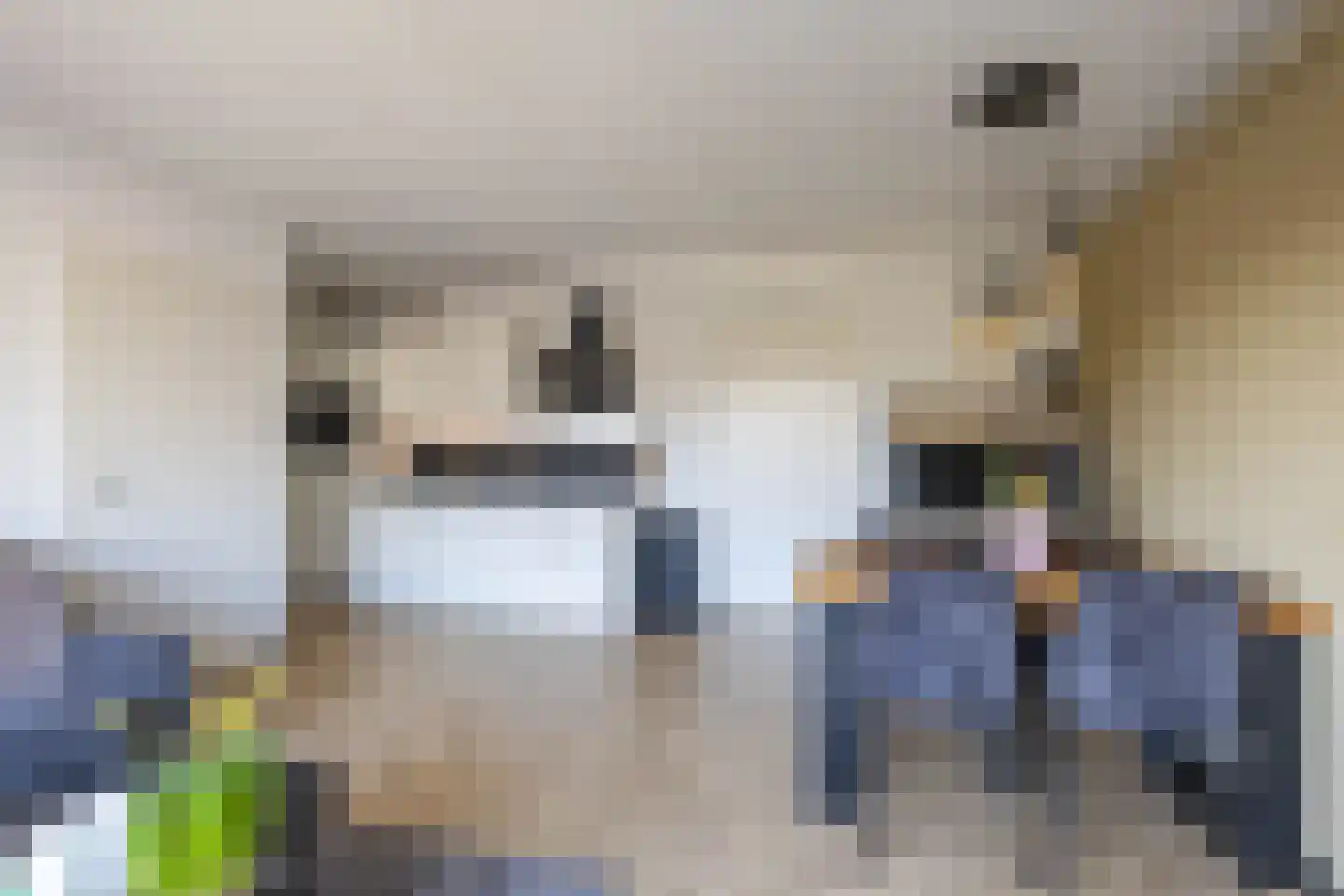 Rensumaheerd 45 e Groningen thumbnail 14