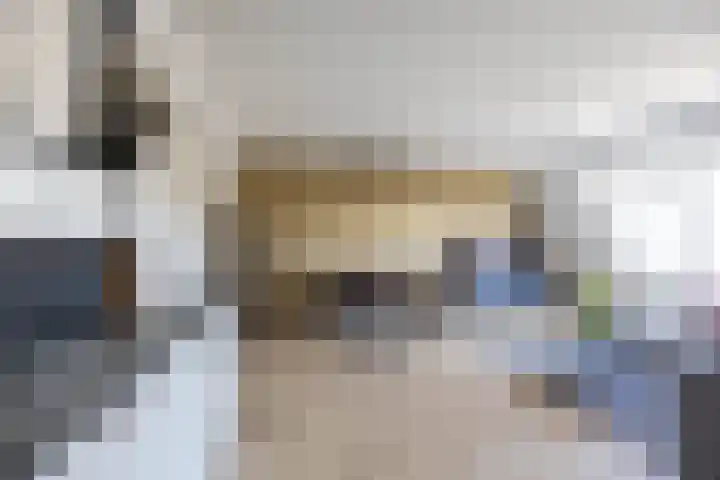 Rensumaheerd 45 e Groningen thumbnail 18