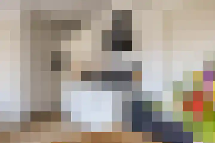 Rensumaheerd 45 e Groningen thumbnail 20