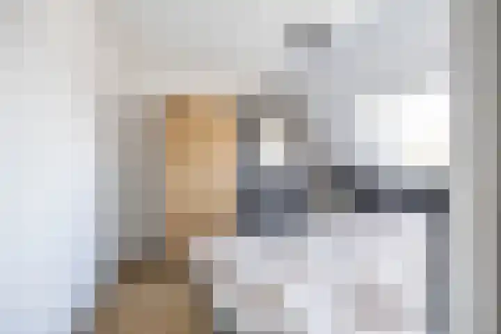 Rensumaheerd 45 e Groningen thumbnail 21