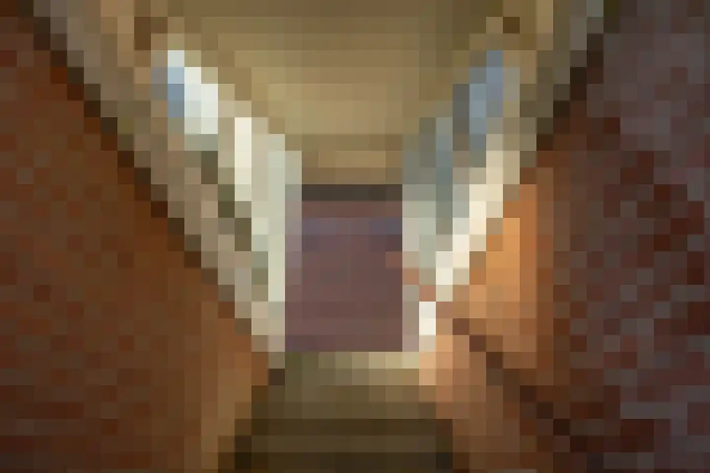 Rensumaheerd 45 e Groningen thumbnail 9