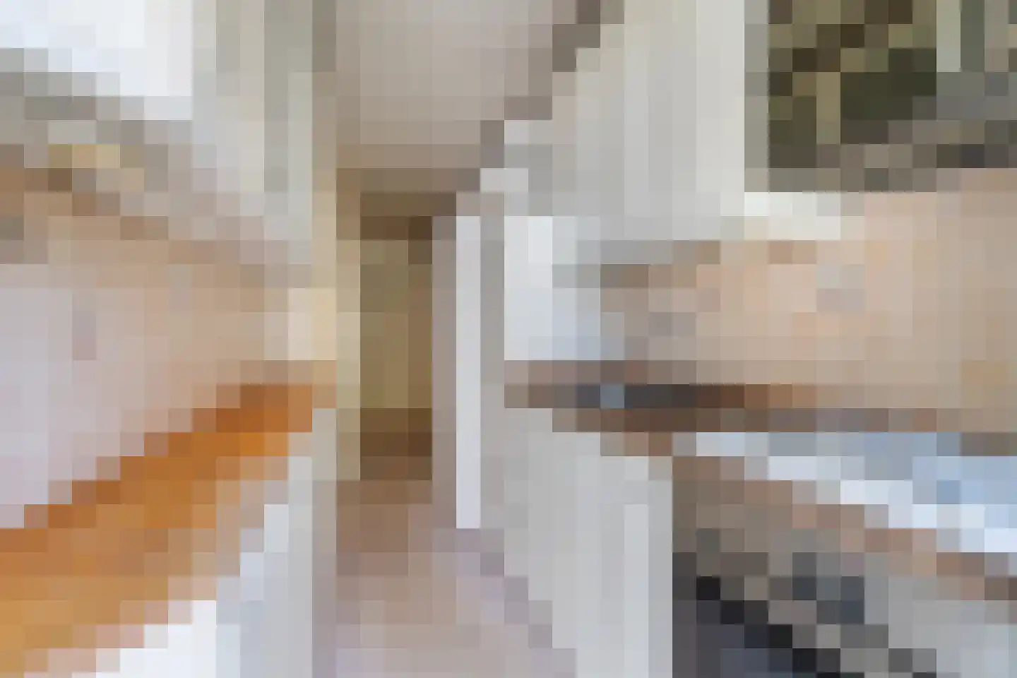 Renswoudelaan 19 Den Haag thumbnail 10