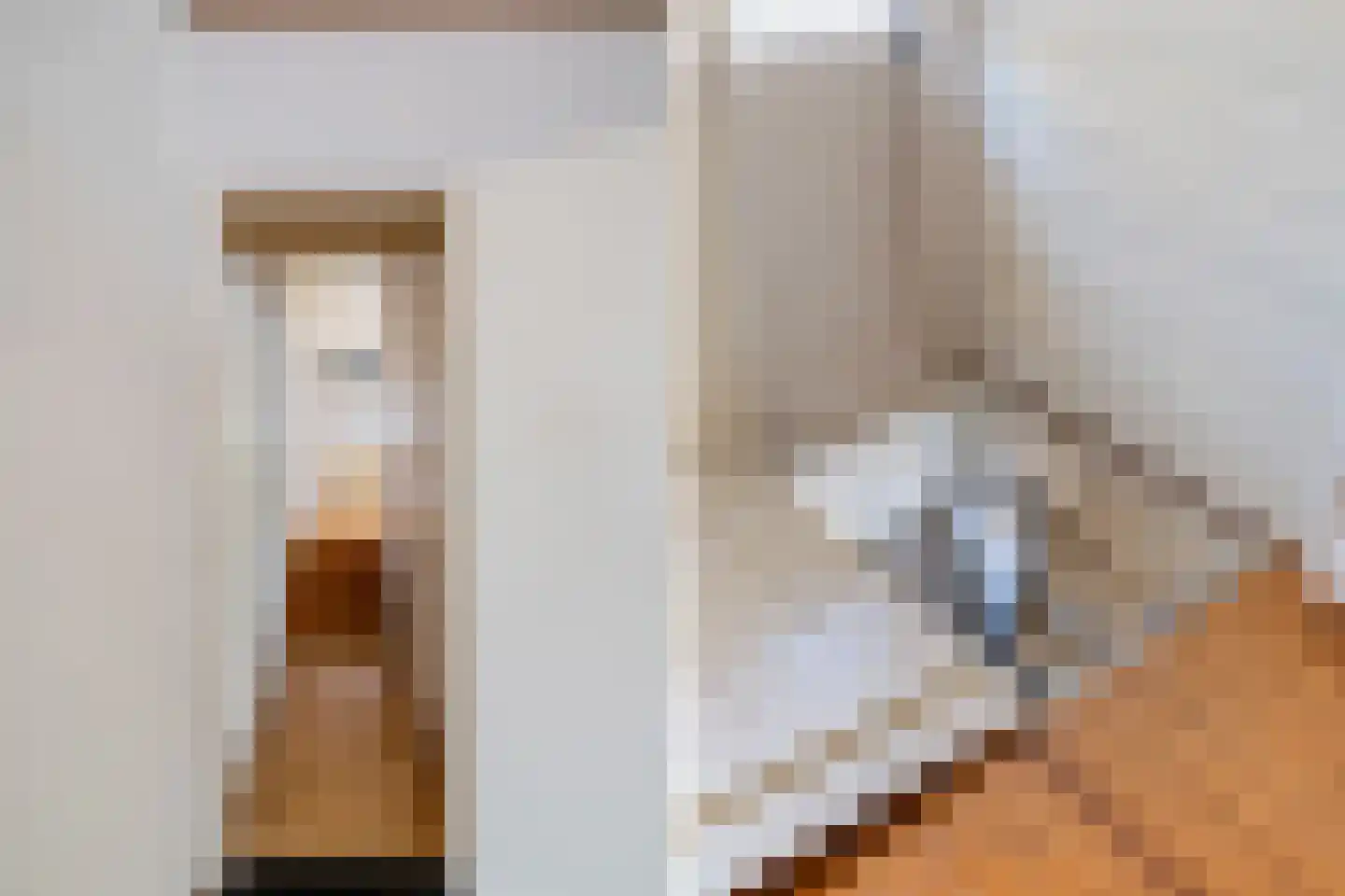 Renswoudelaan 19 Den Haag thumbnail 11