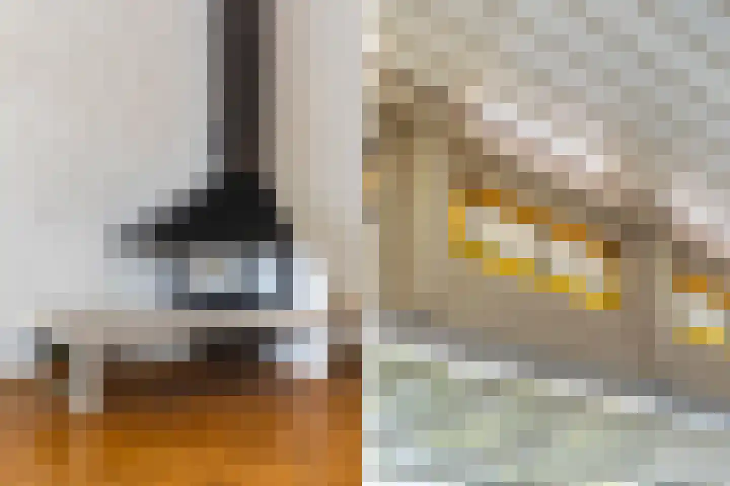 Renswoudelaan 19 Den Haag thumbnail 13