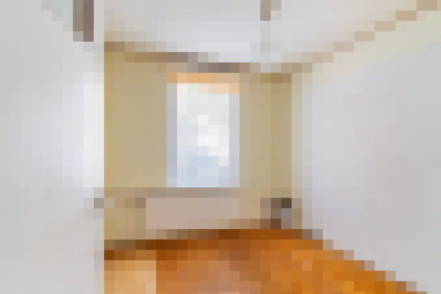 Renswoudelaan 19 Den Haag thumbnail 16