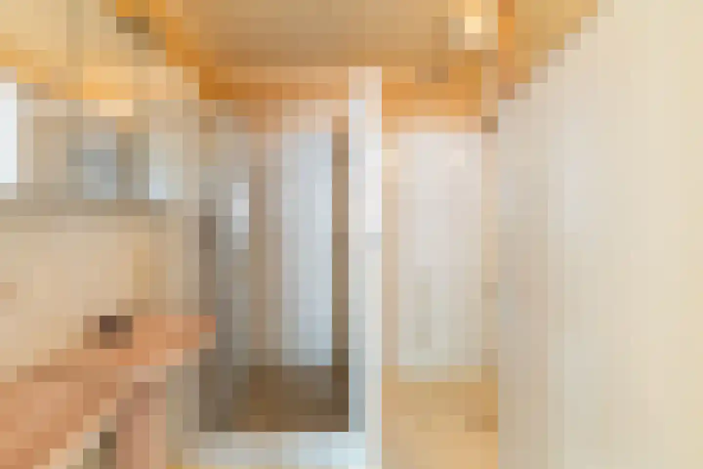 Renswoudelaan 19 Den Haag thumbnail 19