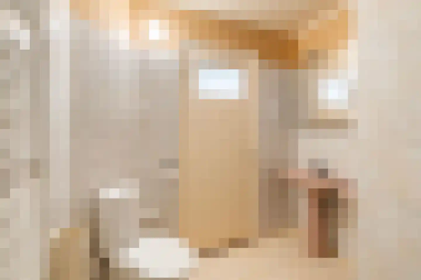 Renswoudelaan 19 Den Haag thumbnail 22