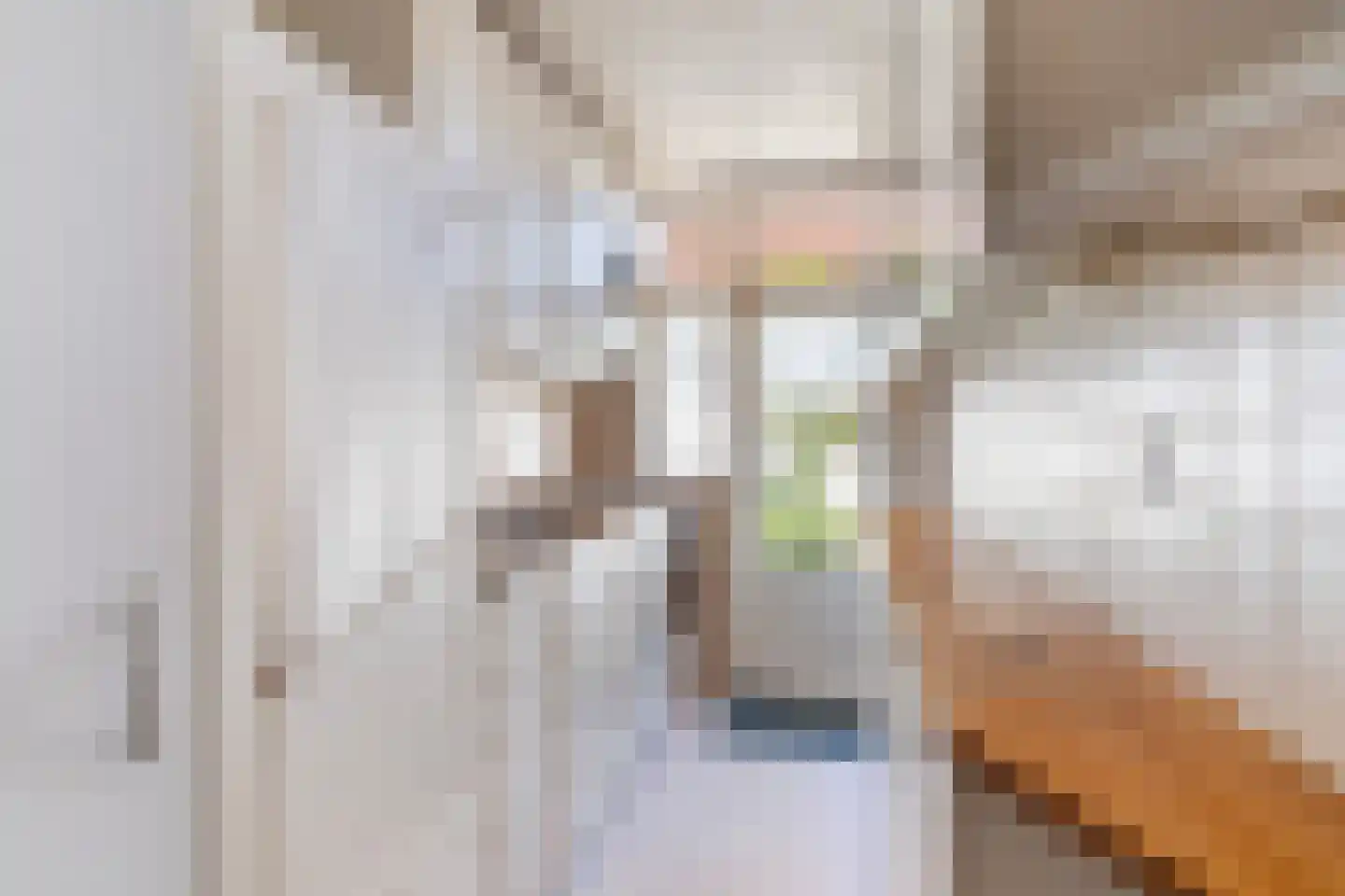 Renswoudelaan 19 Den Haag thumbnail 8