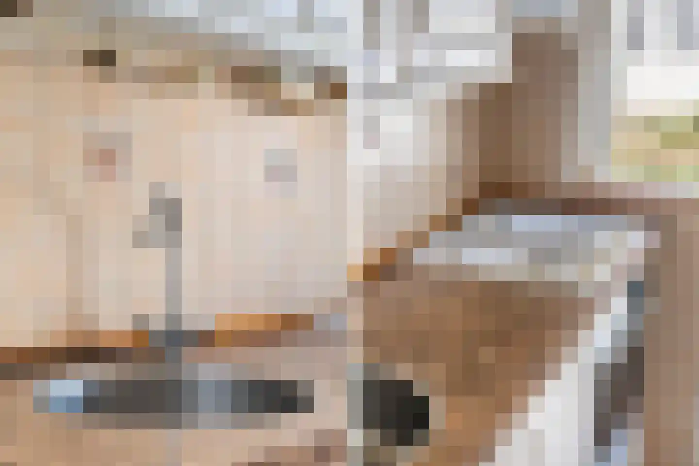 Renswoudelaan 19 Den Haag thumbnail 9
