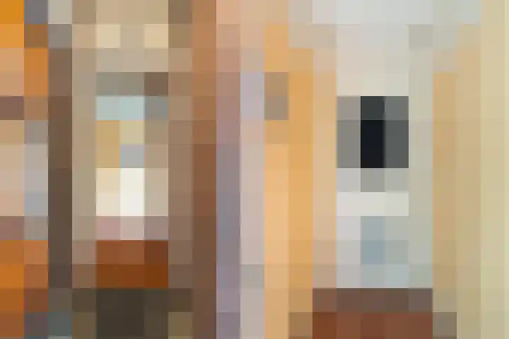 Renswoudelaan 23 Den Haag thumbnail 19