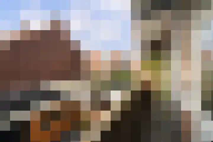 Renswoudelaan 23 Den Haag thumbnail 20