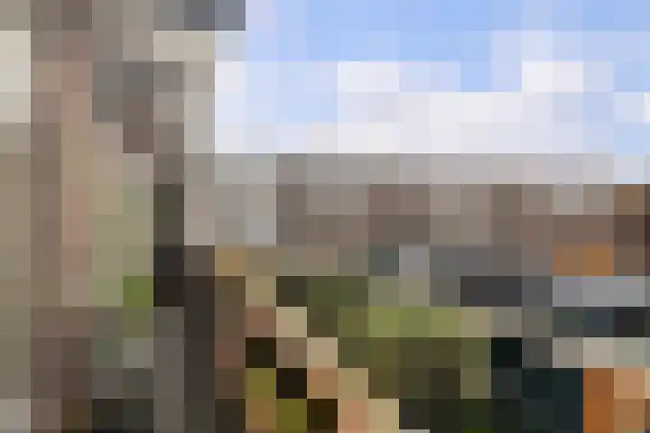 Renswoudelaan 23 Den Haag thumbnail 21