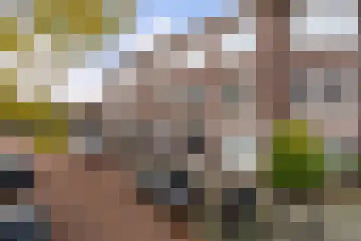 Renswoudelaan 23 Den Haag thumbnail 24