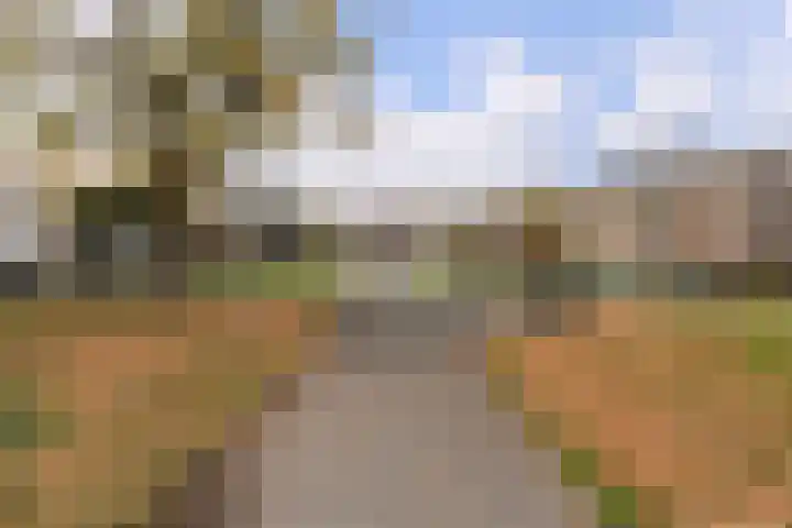 Renswoudelaan 23 Den Haag thumbnail 27
