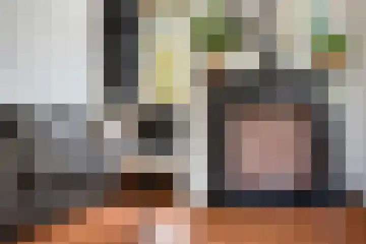 Renswoudelaan 23 Den Haag thumbnail 5