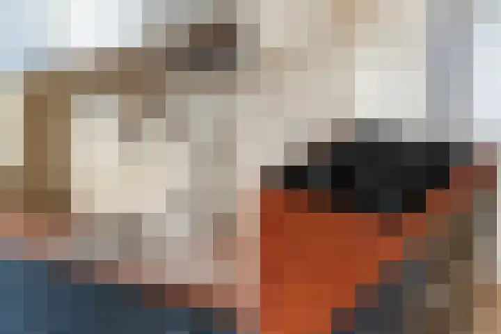 Renswoudelaan 23 Den Haag thumbnail 9