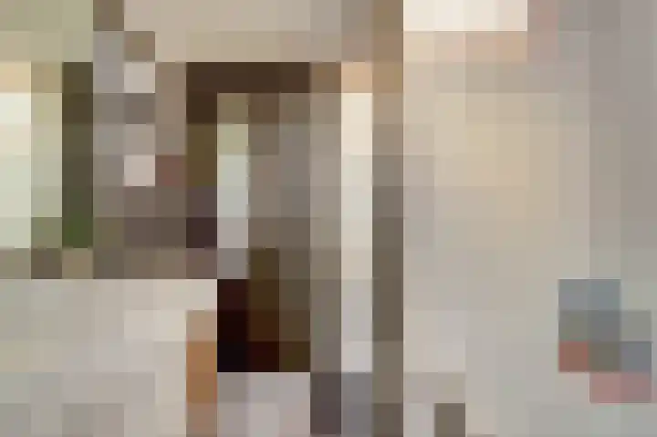 Renswoudelaan 41 Den Haag thumbnail 10