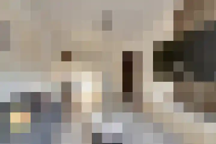 Renswoudelaan 41 Den Haag thumbnail 15
