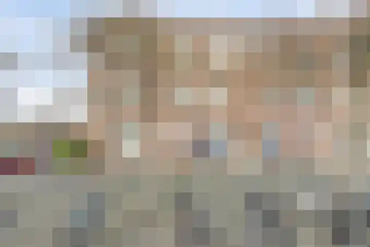 Renswoudelaan 41 Den Haag thumbnail 17