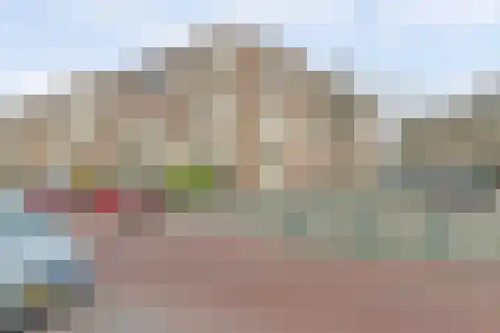 Renswoudelaan 41 Den Haag thumbnail 20
