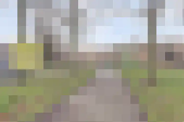 Renswoudelaan 41 Den Haag thumbnail 29