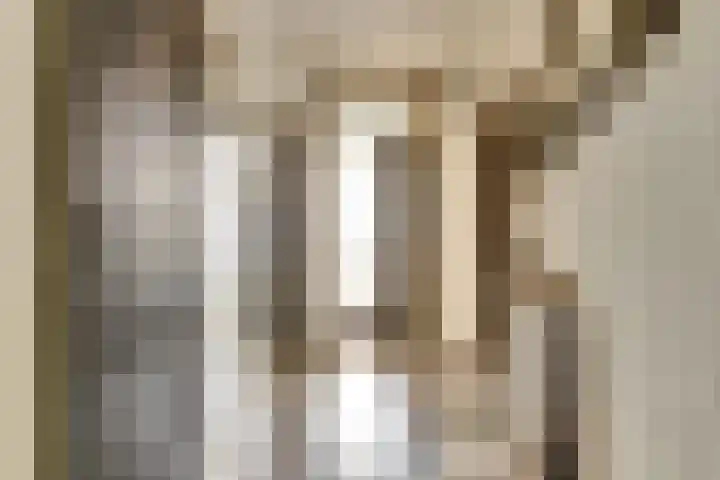 Renswoudelaan 41 Den Haag thumbnail 4