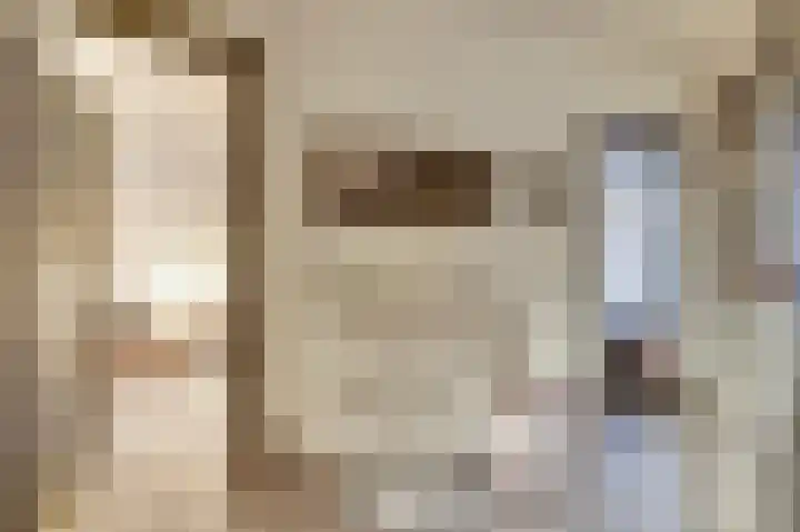 Renswoudelaan 41 Den Haag thumbnail 5