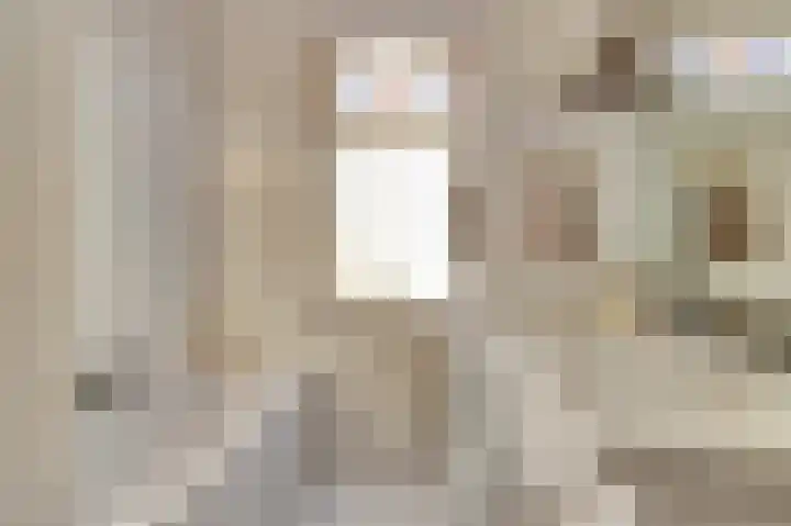 Renswoudelaan 41 Den Haag thumbnail 6