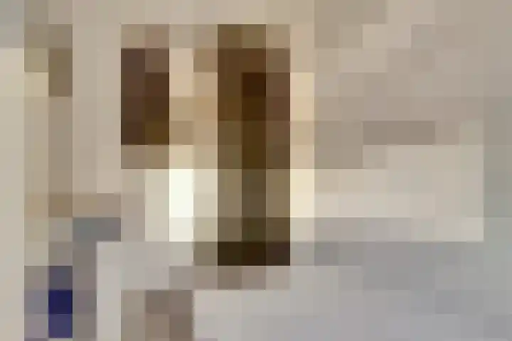 Renswoudelaan 41 Den Haag thumbnail 8