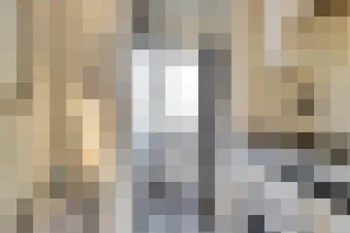 Renswoudelaan 41 Den Haag thumbnail 9