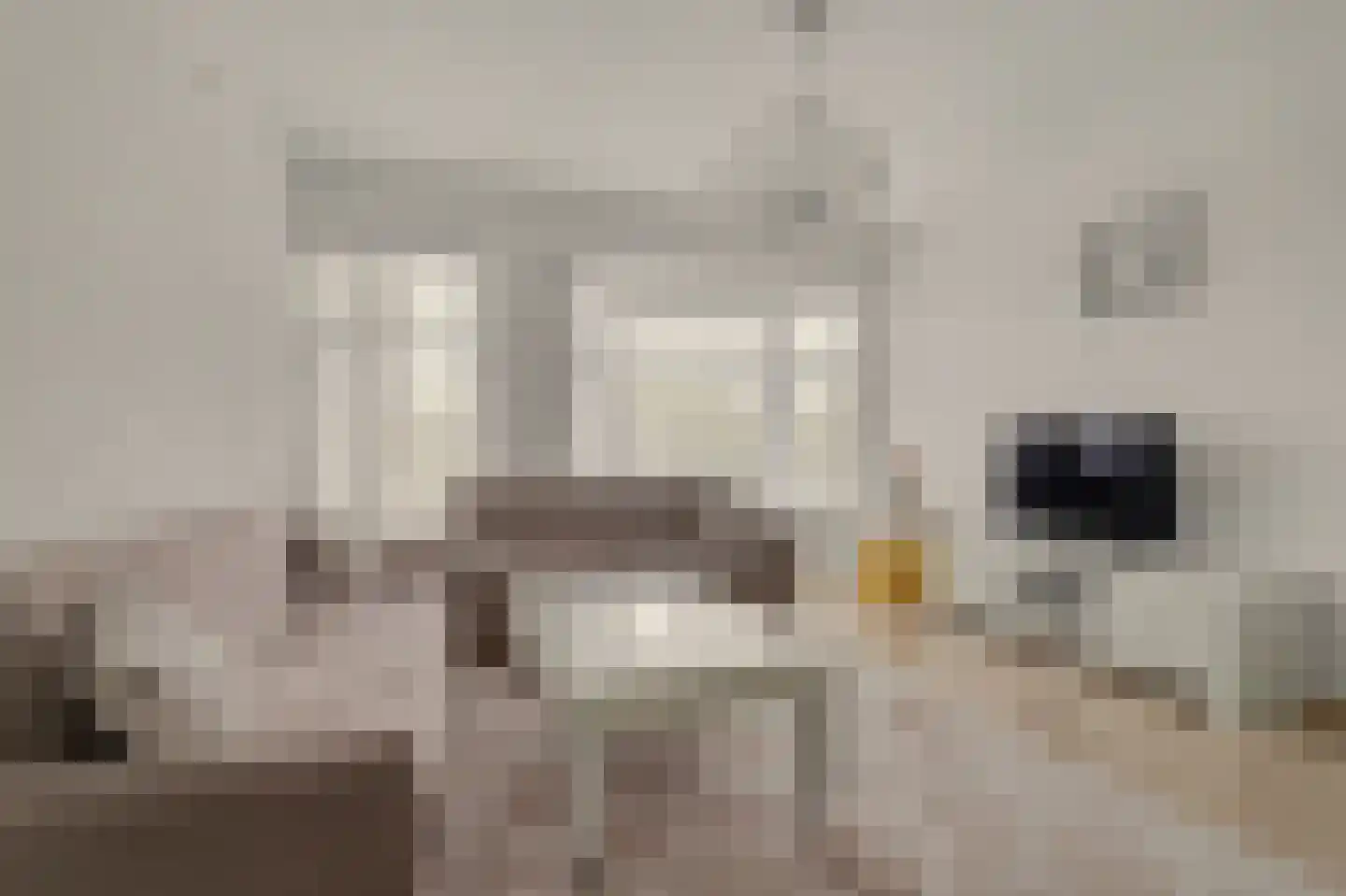 Renswoudelaan 71 Den Haag thumbnail 10