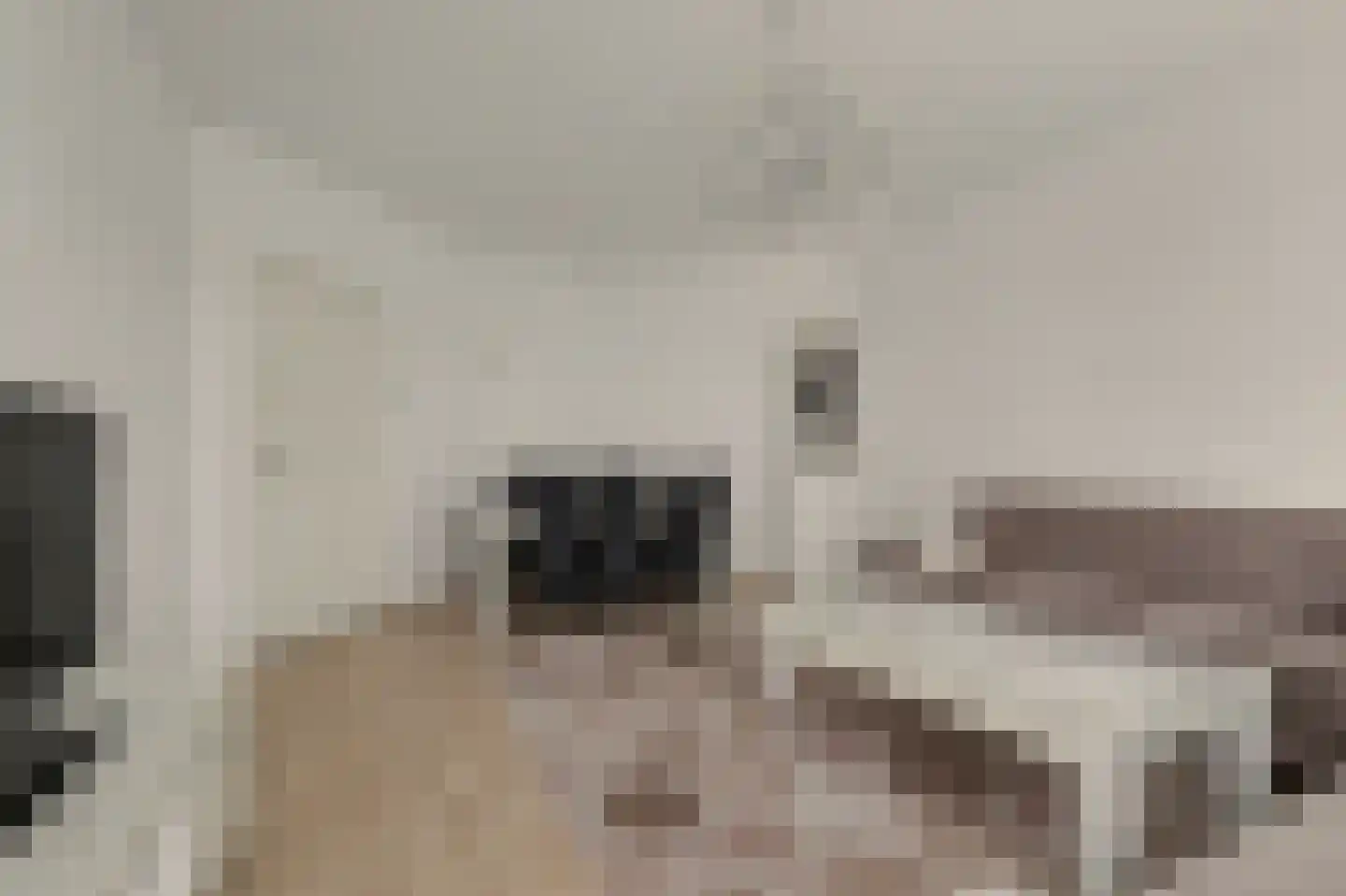Renswoudelaan 71 Den Haag thumbnail 12