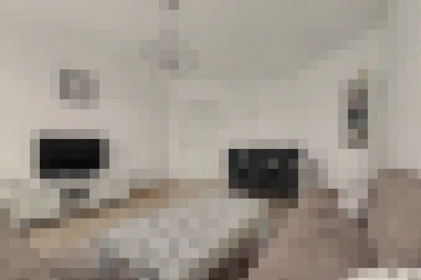Renswoudelaan 71 Den Haag thumbnail 13