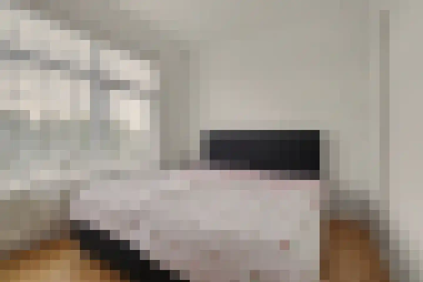 Renswoudelaan 71 Den Haag thumbnail 16