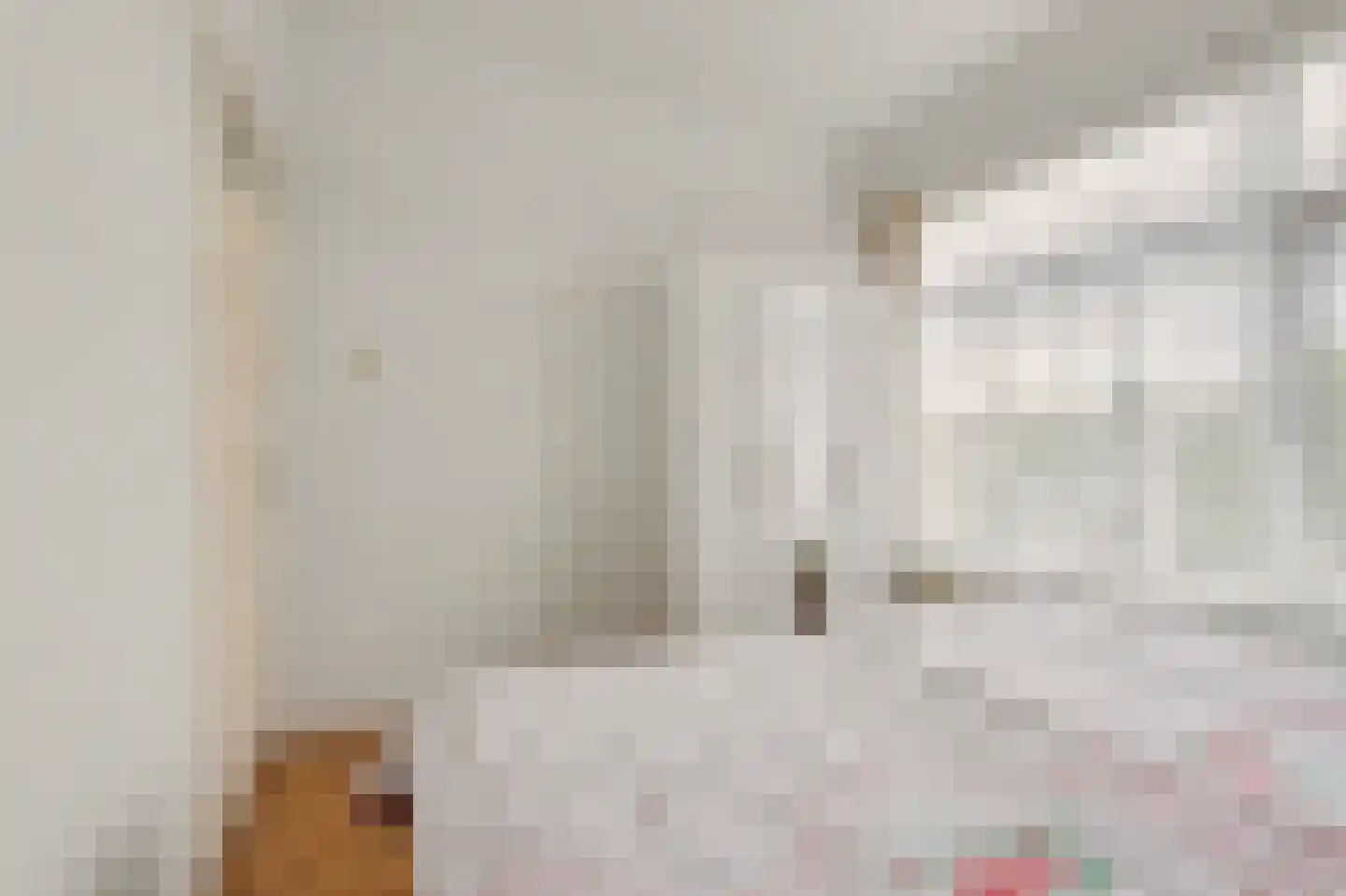 Renswoudelaan 71 Den Haag thumbnail 17