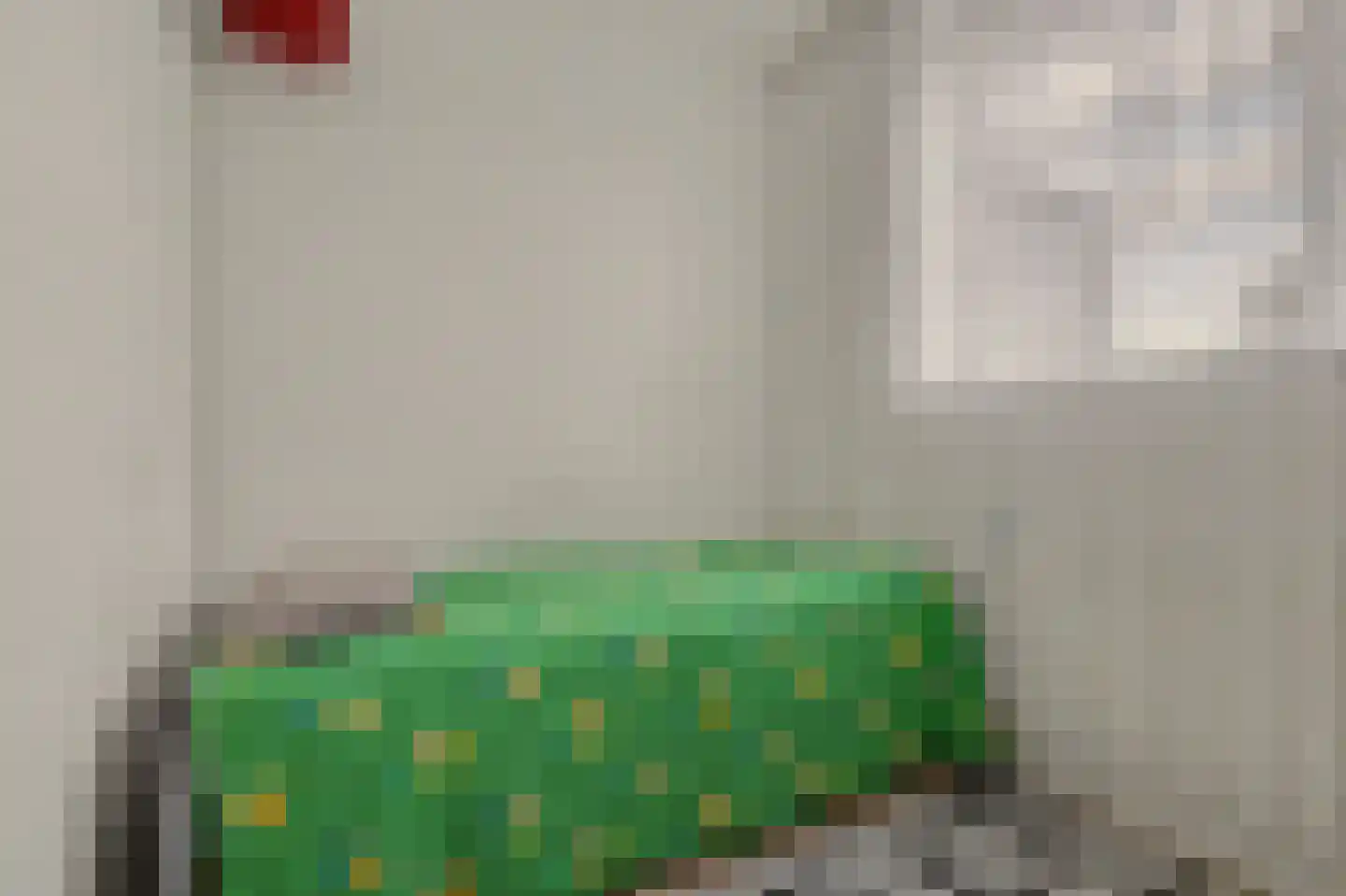 Renswoudelaan 71 Den Haag thumbnail 21