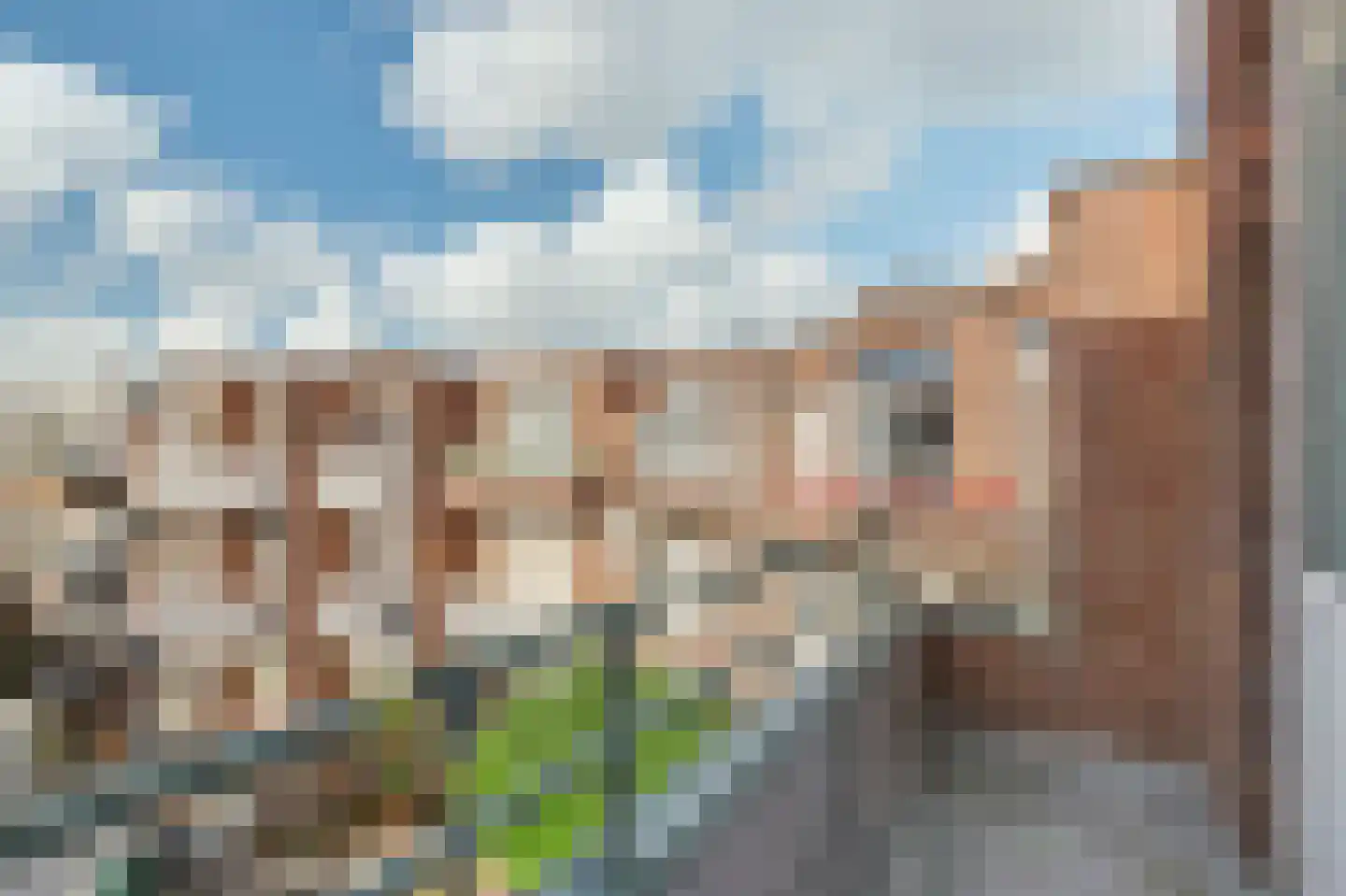 Renswoudelaan 71 Den Haag thumbnail 28