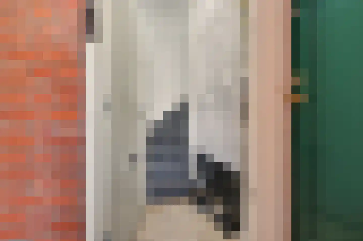 Renswoudelaan 71 Den Haag thumbnail 5