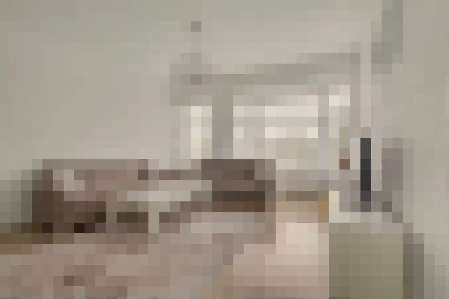 Renswoudelaan 71 Den Haag thumbnail 9
