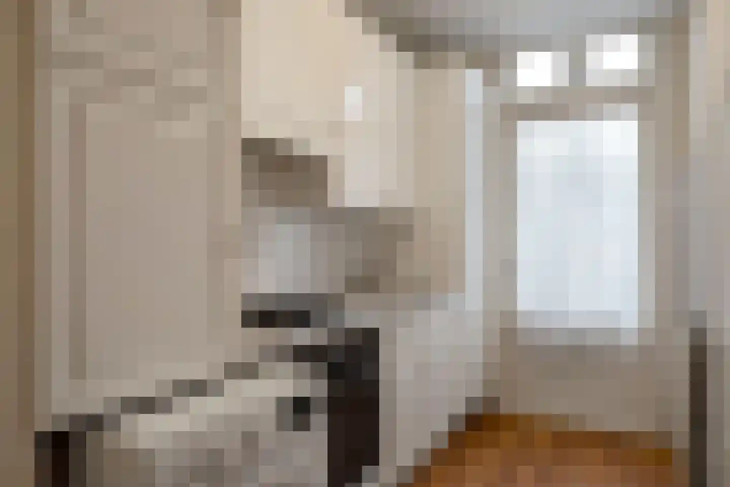 Renswoudelaan 78 Den Haag thumbnail 14